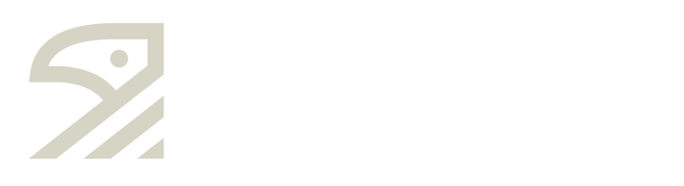 Raven Finance Logo